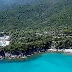 Aristotelia Gi - Panorama