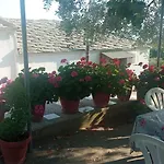 Vaso Studios