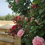 Xenia\'S Countryside Guesthouse