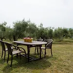 Zeusplace Olympus Olive Country House 2