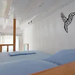 Lily\'S Studio