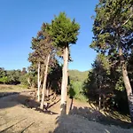 House Theofilos
