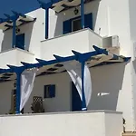 Stolidi