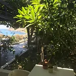 Big Blue Apartments