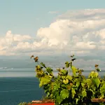Sea And Mountain House II