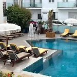 4Br Newly Renovated Retreat Tranquil Coastal Haven
