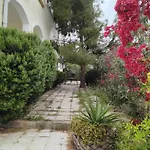 Peaceful Oasis
