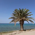 Mainavenue Palm Seaside