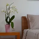 Ibiscus Cottage In Paradisi Near The Beach