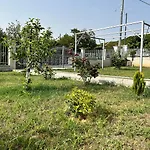 Sea View Apartment With Garden