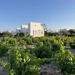 Mare Monte Studios Naxos