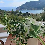 Villa Aspalathus Gold