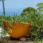 Theasea House
