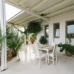 Villa Olympia In The Palm Trees