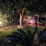 Olive Tree Villa