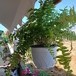 Maria\'S Apartment