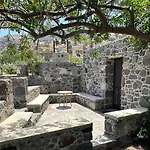 Loutra Olive Gardens Stone House #1