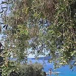 Waterview Villa