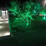 The Olive House