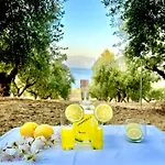 Elaias Thea Sea View Home