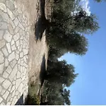 Meltemi