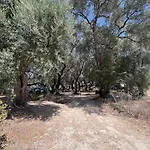 Meltemi