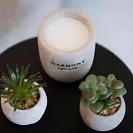 Armonia Seaside Lofts