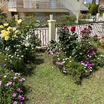 Porto Maria Holiday Home