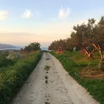 Crete Olive Mill