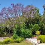 Lemon Tree Cottage