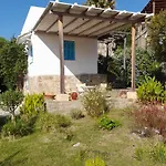 Lemon Tree Cottage