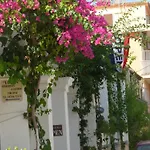 Louisa Studios