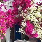 Jenny\'S Sea View House