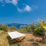 Indigo Boutique Home