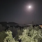 Olive Τree Ηouses