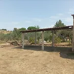Ελαιώνας Και Θάλασσα