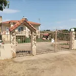 Ελαιώνας Και Θάλασσα
