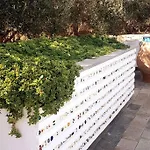 Olive Grove Serenity Villa