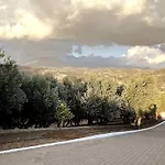 Olive Grove Serenity Villa