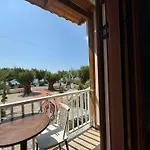 Zorbas