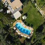 Aristidis View