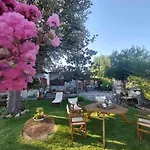 Annas Guesthouse