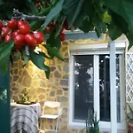 Garden\'S House