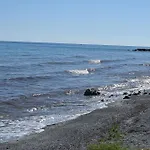 Harlaaki