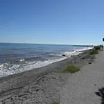Harlaaki