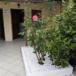 Kamelia