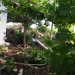 Maria\'S Home