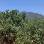 Corfiot Holiday Home With Seaviews To Halikounas Beach