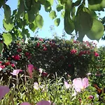 Tasia Studios