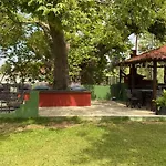 Studios Filio Sonia 2